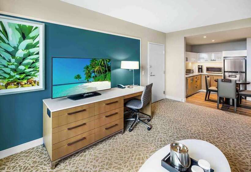 标准间, The Luxury Collection Hotel Manhattan Midtown