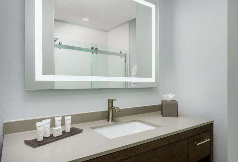 سوئیت با تخت بزرگ, The Luxury Collection Hotel Manhattan Midtown