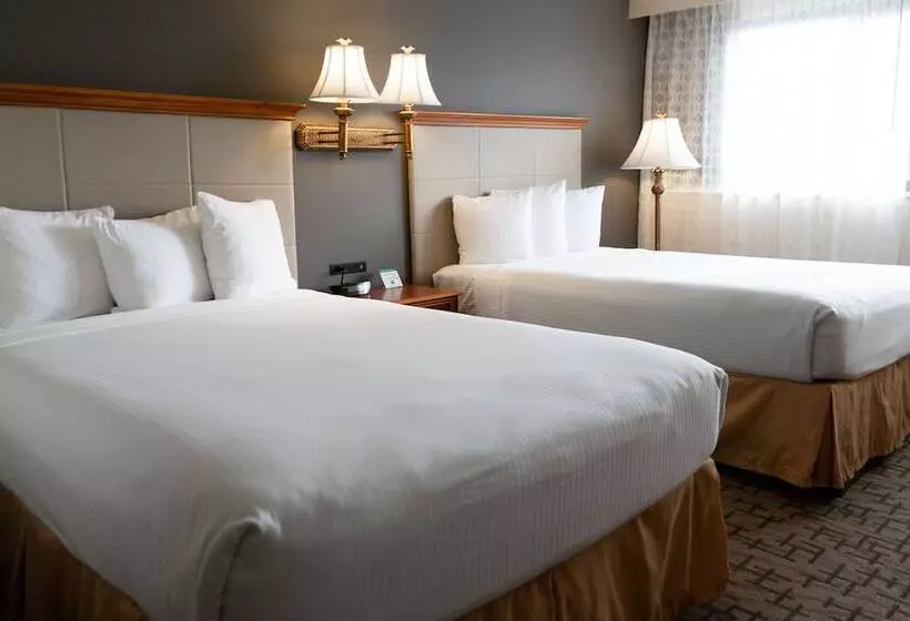 ２ダブルベッドのスタンダードルーム, Comfort Inn & Suites Downtown Tacoma