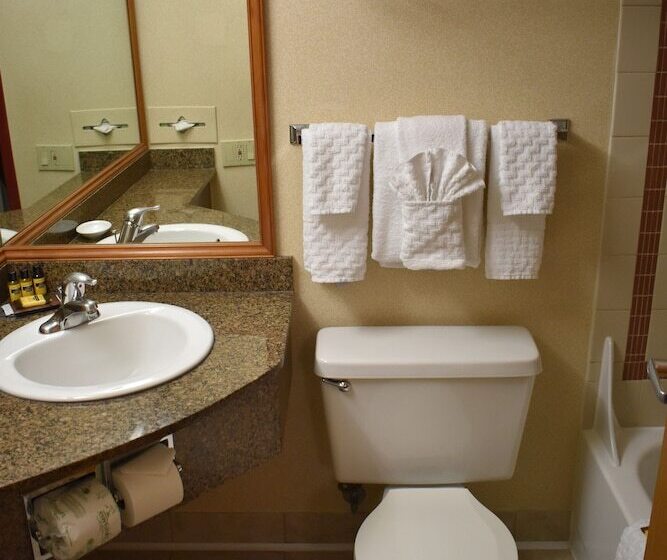 스탠다드 룸 더블 침대 2개, Comfort Inn & Suites Downtown Tacoma