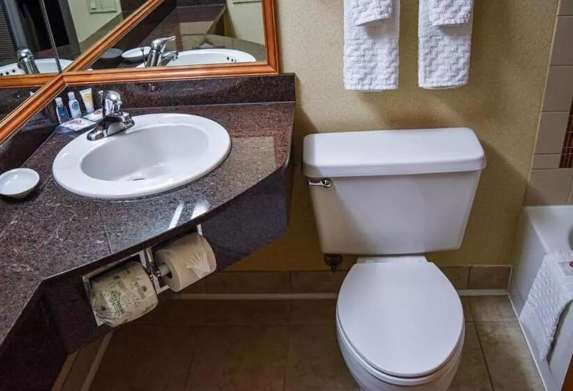 スタンダードルーム, Comfort Inn & Suites Downtown Tacoma