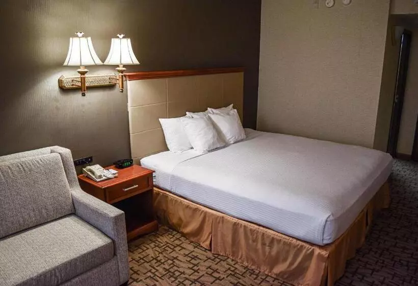 スタンダードルーム, Comfort Inn & Suites Downtown Tacoma