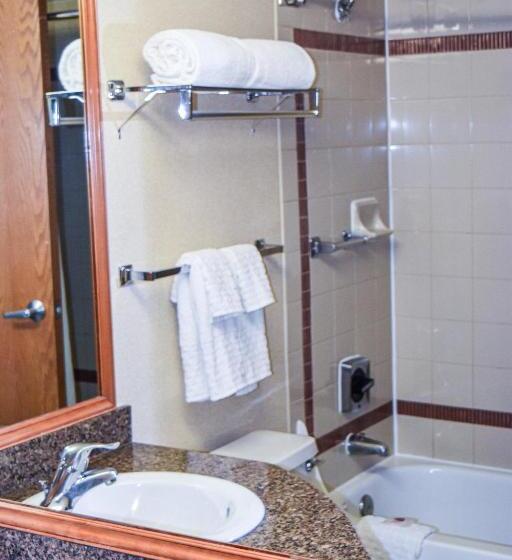 스탠다드 룸 킹사이즈 침대, Comfort Inn & Suites Downtown Tacoma