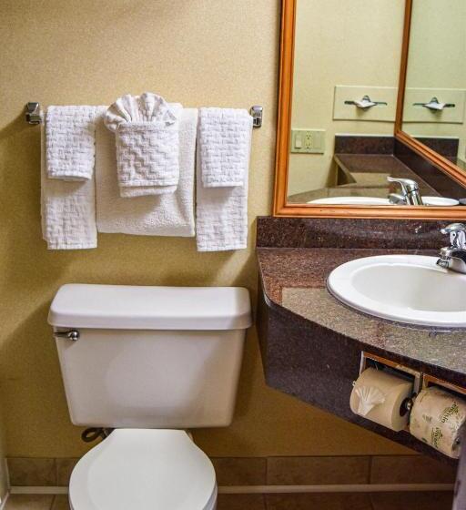 스탠다드 룸 더블 침대 2개, Comfort Inn & Suites Downtown Tacoma