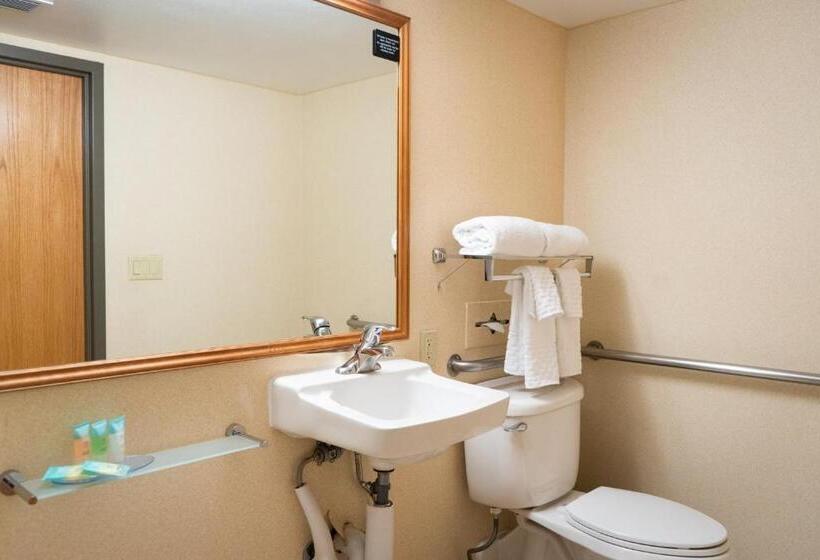 带特大床的标准间, Comfort Inn & Suites Downtown Tacoma