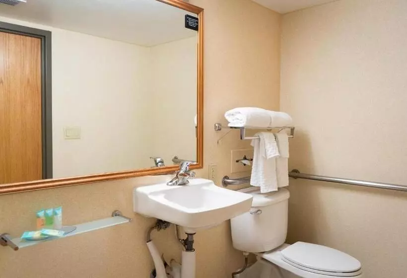 クイーンサイズベッドのスタンダードルーム, Comfort Inn & Suites Downtown Tacoma