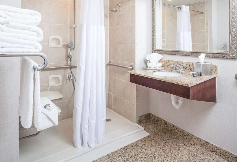 غرفة قياسية لذوى الاحتياجات الخاصة, Doubletree By Hilton  Boston  Milford