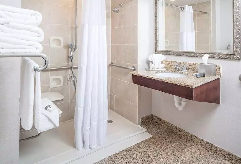 身障者適用スタンダードルーム, Doubletree By Hilton  Boston  Milford