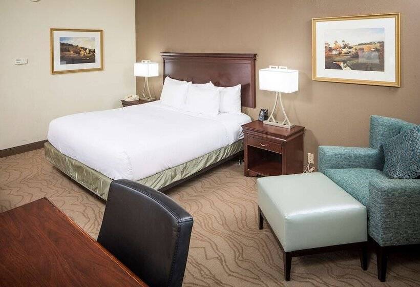 غرفة قياسية لذوى الاحتياجات الخاصة, Doubletree By Hilton  Boston  Milford