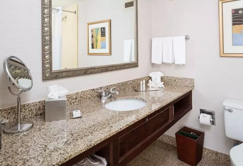 身障者適用スタンダードルーム, Doubletree By Hilton  Boston  Milford