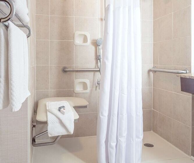 غرفة قياسية لذوى الاحتياجات الخاصة, Doubletree By Hilton  Boston  Milford