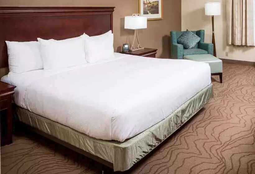 ダブルベッドのスタンダードスタジオ, Doubletree By Hilton  Boston  Milford