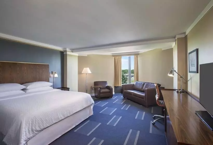 ダブルベッドスタンダードルーム, Four Points By Sheraton Richmond