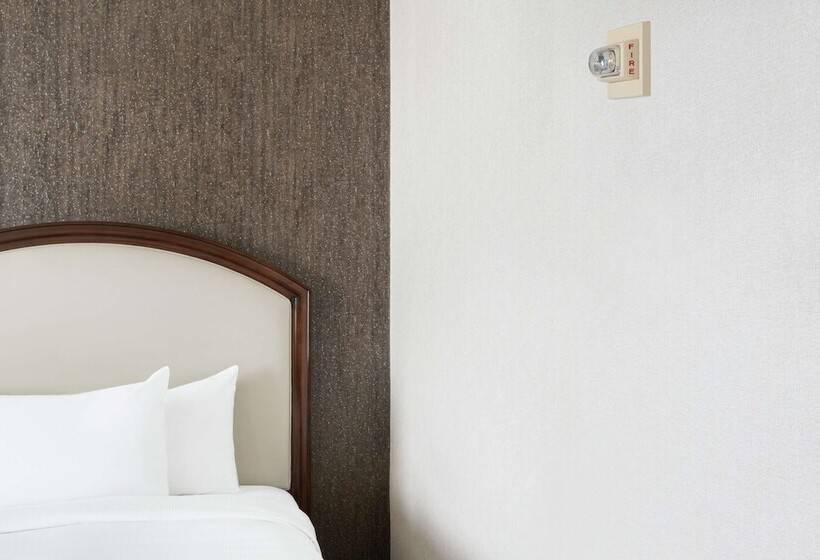 غرفه قياسيه سريرين مزدوجين, Hilton Atlanta