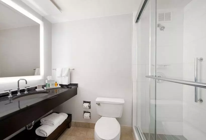Deluxe-huone Soveltuu Liikuntarajoitteisille, Hilton Atlanta