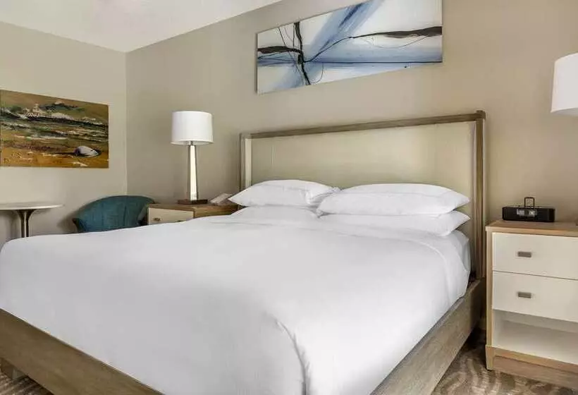 Deluxe-studio, Hilton Atlanta
