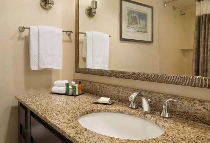 Junior Suite, Hilton St. Louis Frontenac
