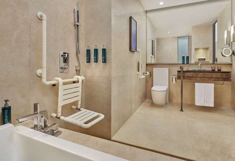 חדר דחוקס עם מיטת קינג, Hilton St. Louis Frontenac