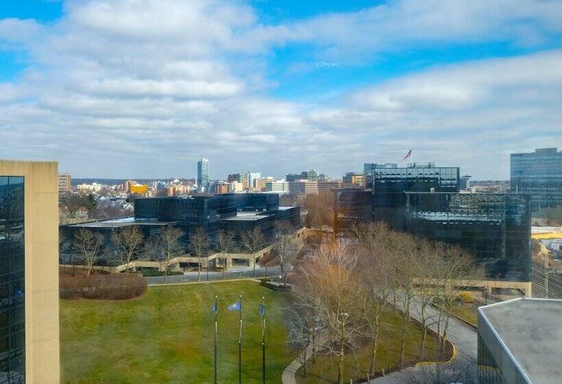 Номер Стандарт 2 Двуспальные Кровати, Hilton Stamford Hotel & Executive Meeting Center