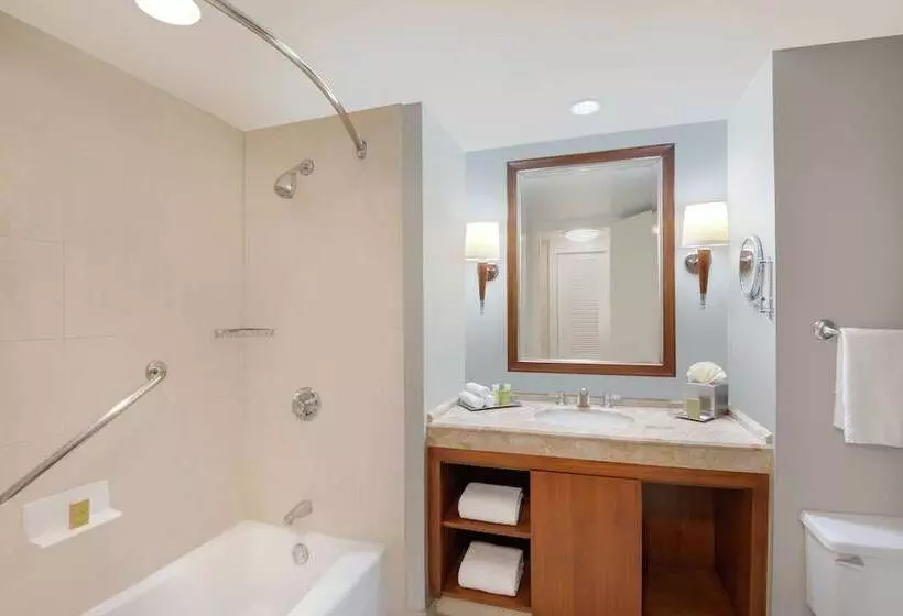 2ダブルベッドのスタンダードルーム, Hilton Stamford Hotel & Executive Meeting Center