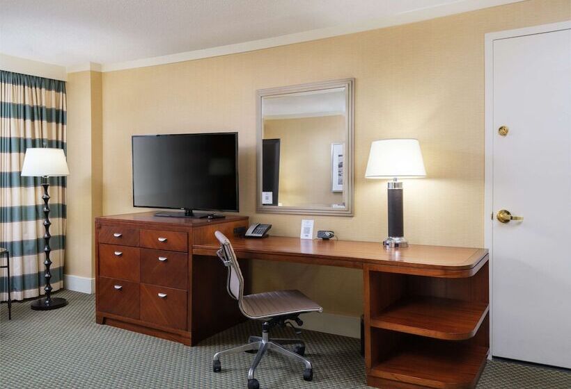 اتاق استاندارد با 2 تخت دوبل, Hilton Stamford Hotel & Executive Meeting Center
