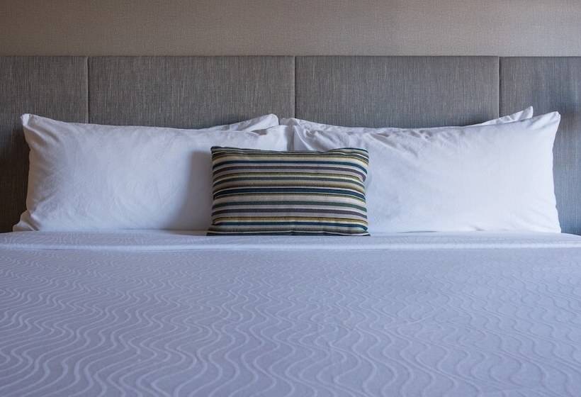 스탠다드 룸, Indigo Napa Valley, An Ihg