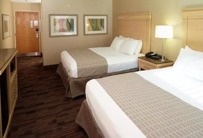 スタンダードルーム, Livinn Hotel Cincinnati North/ Sharonville