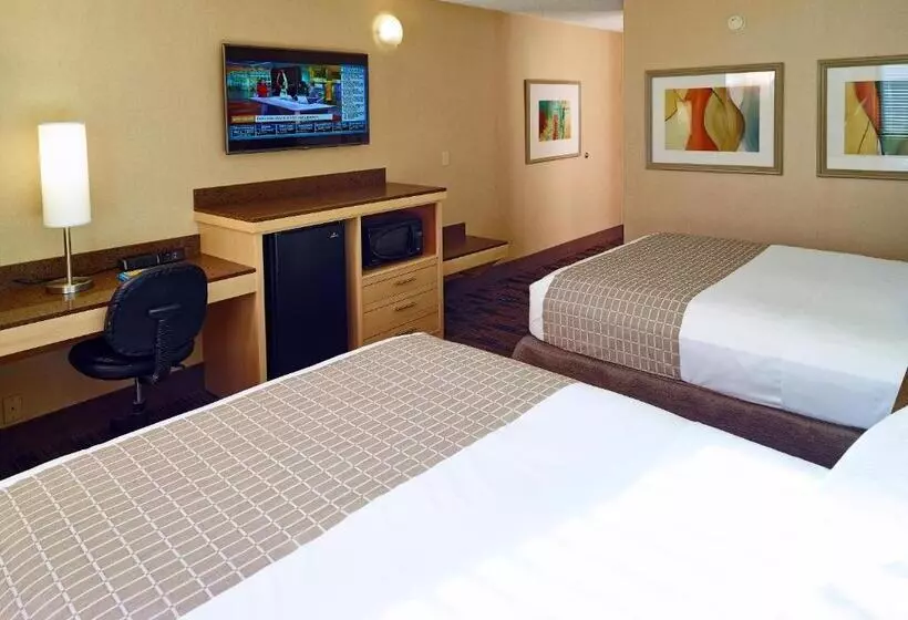 スタンダードルーム, Livinn Hotel Cincinnati North/ Sharonville