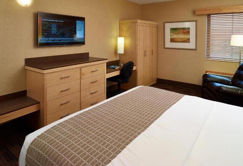 带大床的标准工作室, Livinn Hotel Cincinnati North/ Sharonville