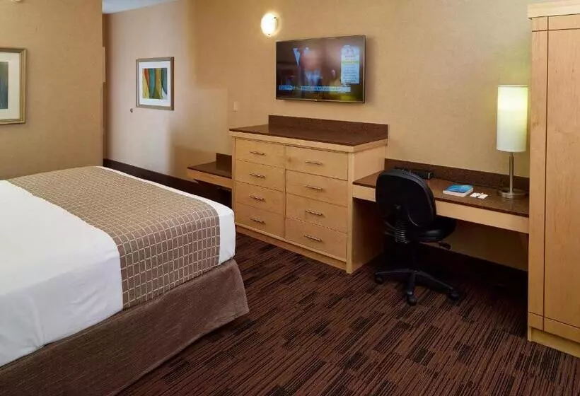 身障者適用キングサイズベッドルーム, Livinn Hotel Cincinnati North/ Sharonville