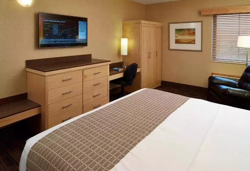 身障者適用キングサイズベッドルーム, Livinn Hotel Cincinnati North/ Sharonville