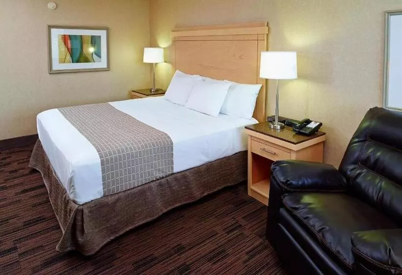身障者適用キングサイズベッドルーム, Livinn Hotel Cincinnati North/ Sharonville