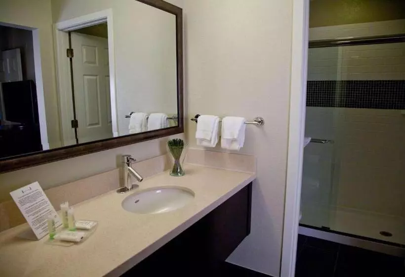 سوئیت 2 خوابه, Sonesta Es Suites Sunnyvale
