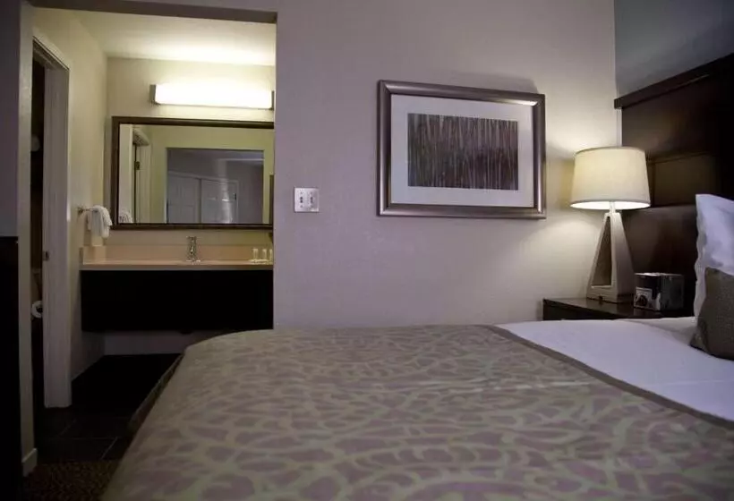 سوئیت 2 خوابه, Sonesta Es Suites Sunnyvale