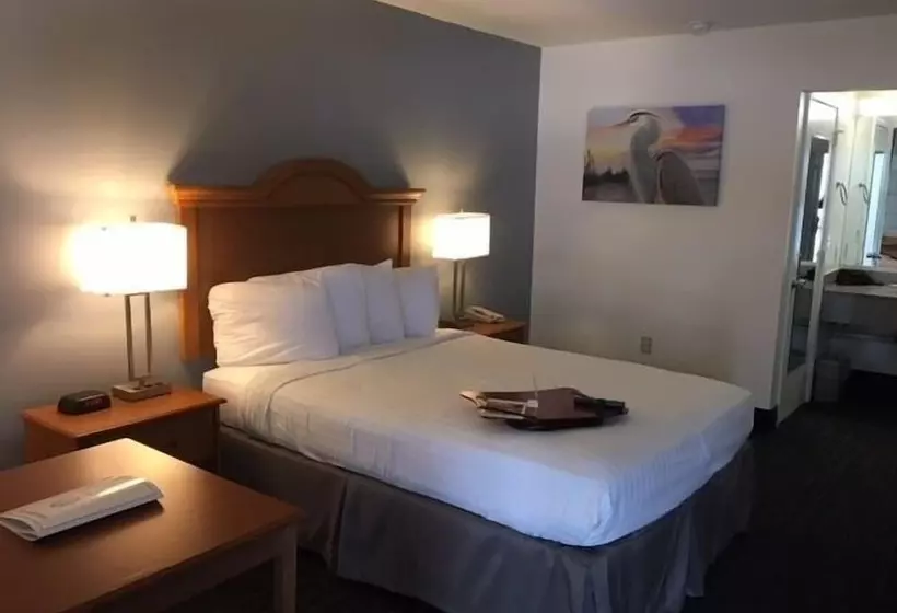 ２ダブルベッドのスタンダードルーム, St. Michaels Inn