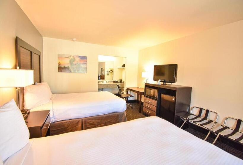 ２ダブルベッドのスタンダードルーム, St. Michaels Inn