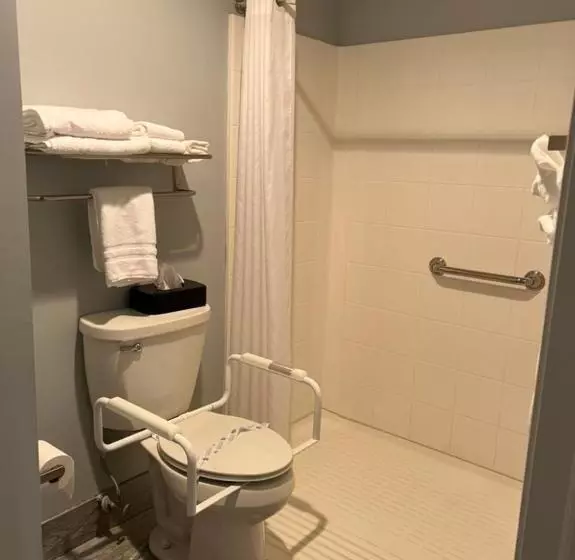 身障者適用スタンダードルーム, St. Michaels Inn