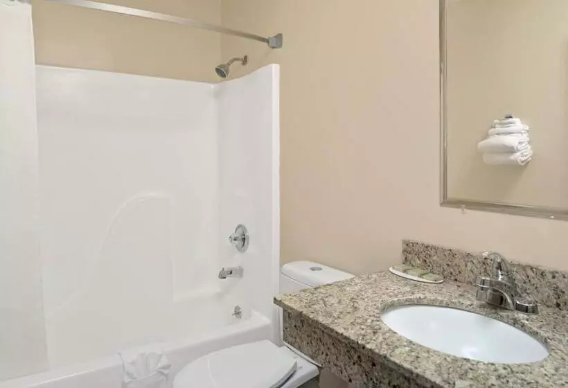 اتاق استاندارد با تخت بزرگ, Super 8 By Wyndham Omaha I 80 West