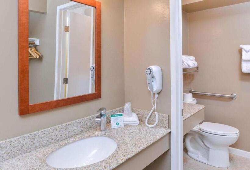 Стандартный Номер Кровать Кинг, Svendsgaard S Lodge  Americas Best Value Inn & Suites