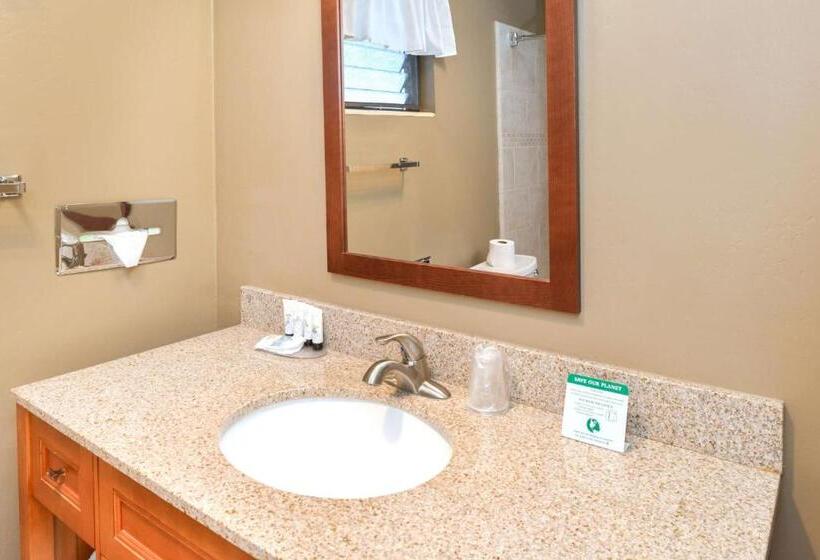 キングサイズベッドのスーペリアルーム, Svendsgaard S Lodge  Americas Best Value Inn & Suites