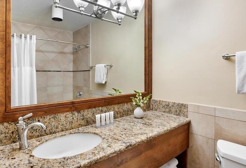 إستوديو قياسى, The Inn At Aspen