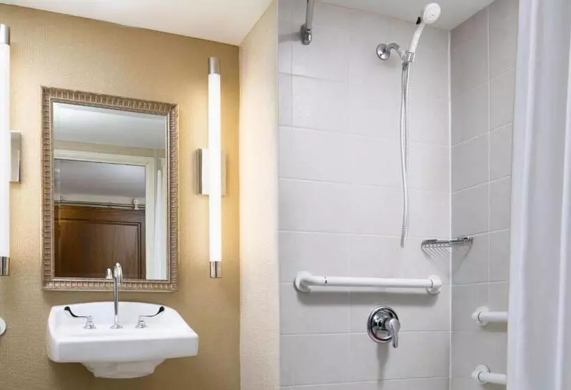 اتاق استاندارد با تخت بزرگ, The Lincoln Marriott Cornhusker