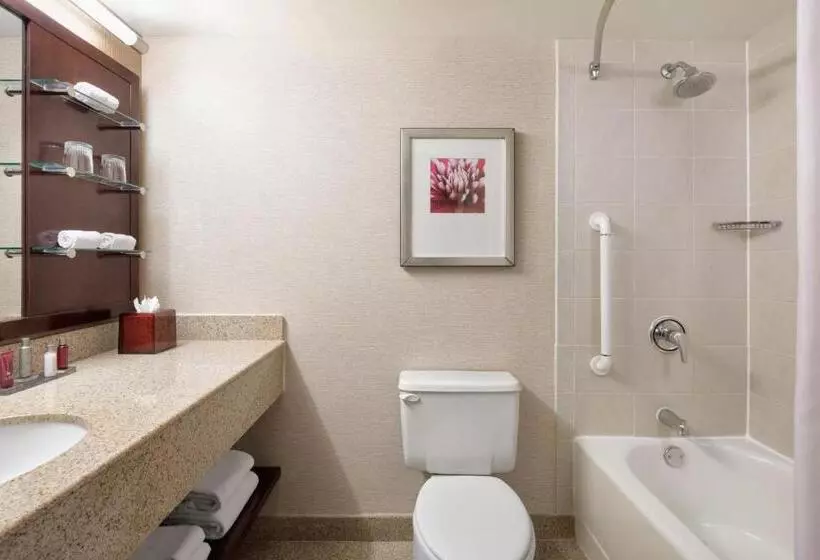 اتاق استاندارد با تخت بزرگ, The Lincoln Marriott Cornhusker