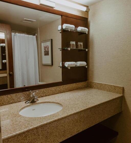 חדר סטנדרט עם מיטת קינג, The Lincoln Marriott Cornhusker