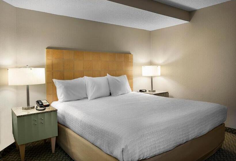 מיטת קינג בסוויטה, Landmark Resort