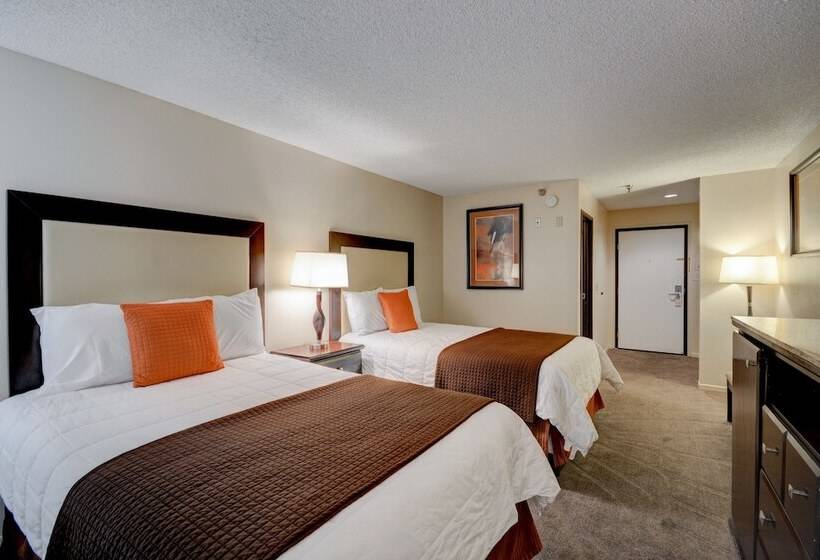 带2个双人床的标准工作室, Longhorn Boulder Highway