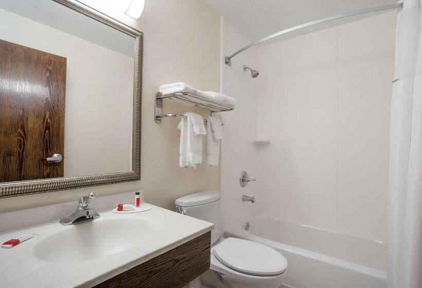 스탠다드 룸 킹사이즈 침대, Super 8 By Wyndham College Park Wash Dc Area
