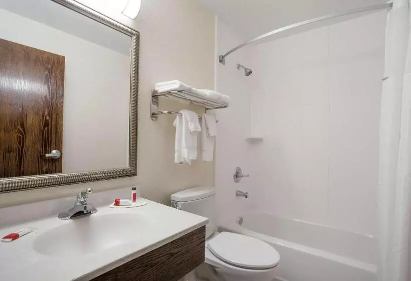 キングサイズベッドのスタンダードルーム, Super 8 By Wyndham College Park Wash Dc Area