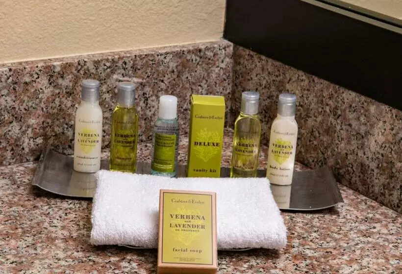 スタンダードルーム, Doubletree By Hilton Hotel Orlando At Seaworld