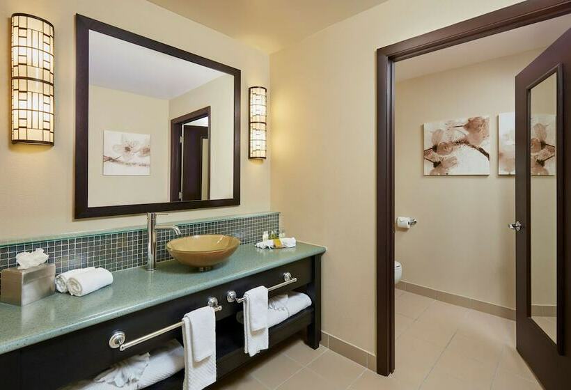 スタンダードルーム, Doubletree By Hilton Hotel Orlando At Seaworld